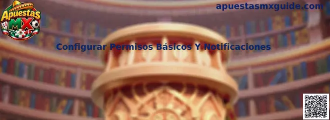 Configurar Permisos Básicos Y Notificaciones