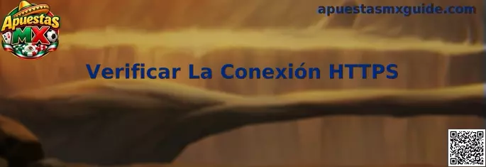 Verificar la conexión HTTPS en plataformas seguras