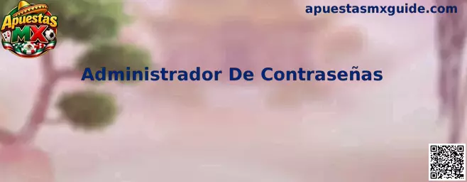 Guía de administrador de contraseñas para proteger cuentas digitales en Apuestas MX